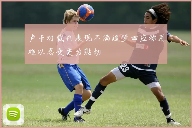 卢卡对裁判表现不满追梦回应称用难以忍受更为贴切