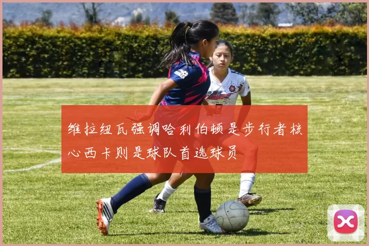 维拉纽瓦强调哈利伯顿是步行者核心西卡则是球队首选球员